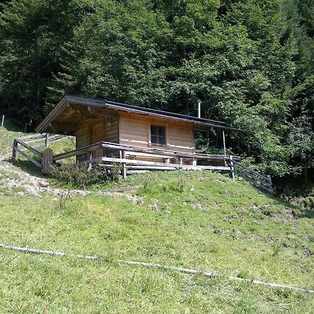 Haus Theresia Alpbach Extérieur photo