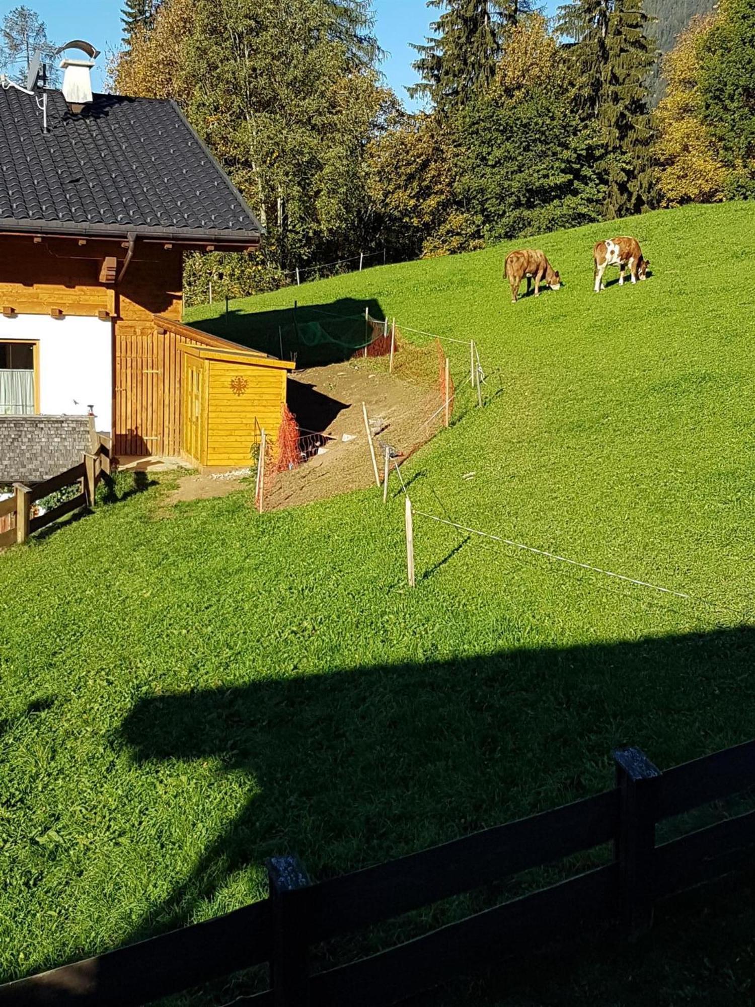 Haus Theresia Alpbach Extérieur photo